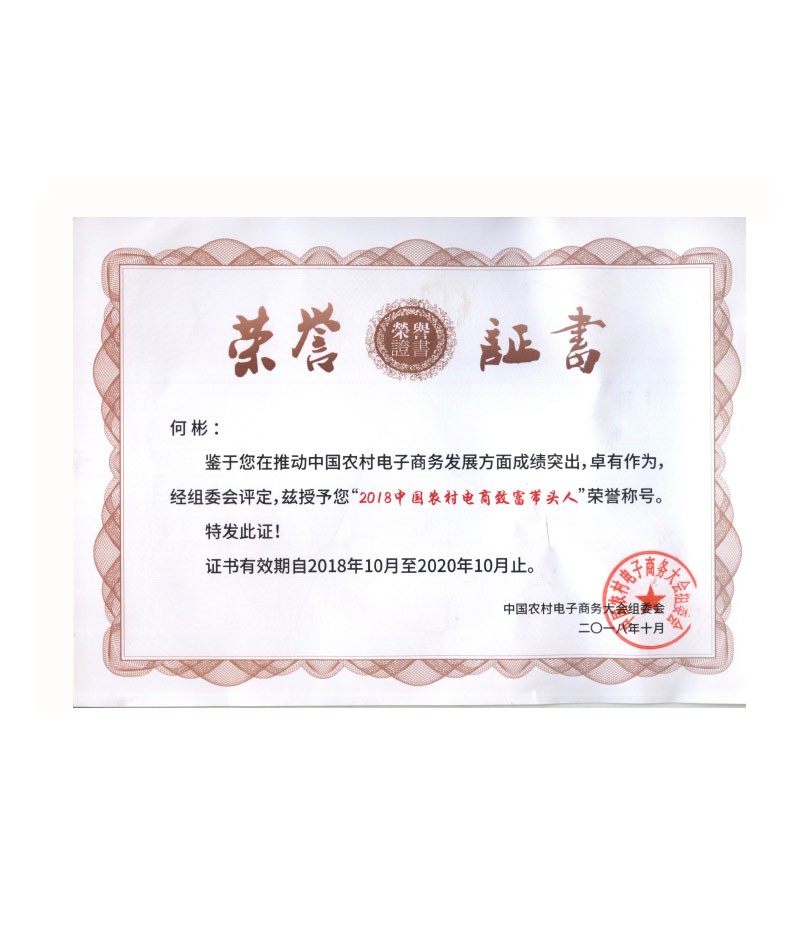 2018中国农村电商致富带头人